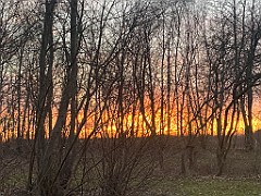 IMG_4442