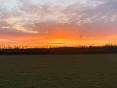 IMG_4444