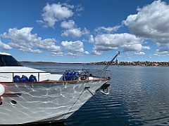 IMG_5817