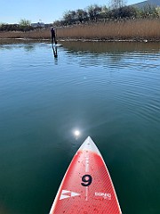 IMG_6139