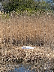 IMG_6163