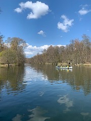 IMG_6229