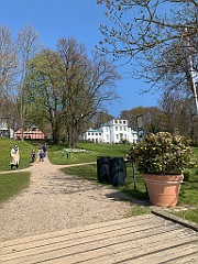 IMG_6240