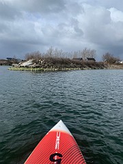 IMG_5559
