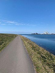 IMG_6181