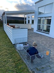 IMG_5203