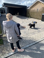 IMG_5639