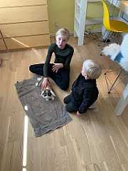 IMG_5981