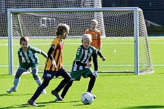 IMG_6107
