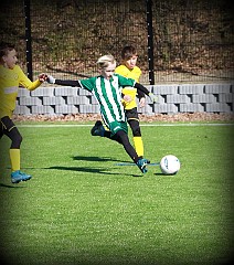 IMG_6118