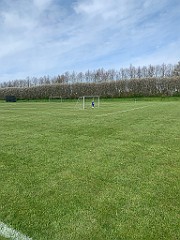 IMG_6336
