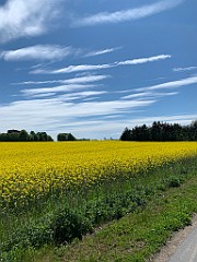 IMG_7193