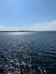 IMG_6574