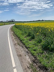 IMG_6575
