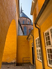 IMG_6591