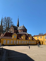 IMG_6598