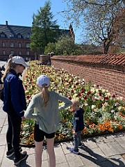 IMG_6605