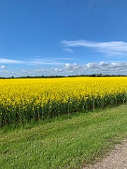22 Maj - Cykeltur til Amager