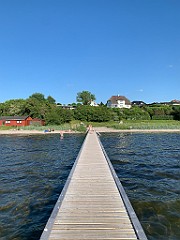 IMG_7598