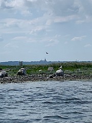 IMG_7637