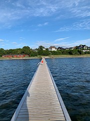 IMG_8223