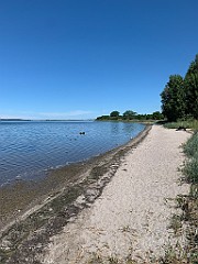 IMG_8241
