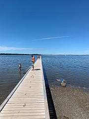 IMG_8242
