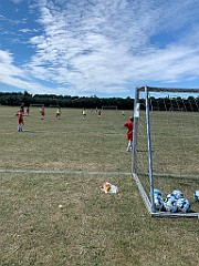 IMG_8245