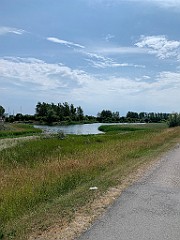 IMG_8353