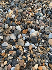 IMG_9345