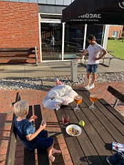 IMG_9442