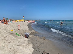 IMG_9942