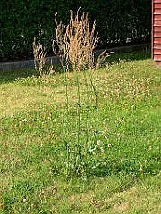 IMG_0112