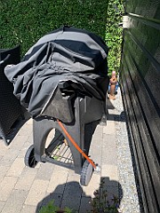 IMG_0139