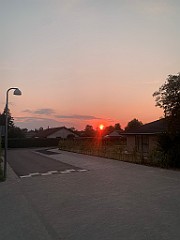 IMG_0201