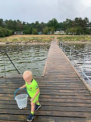 IMG_0252