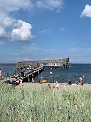IMG_0332