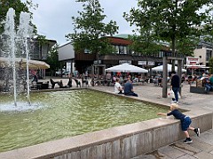IMG_8533