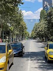 IMG_4553