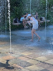 IMG_4597