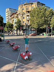 IMG_4642