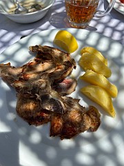 IMG_4705