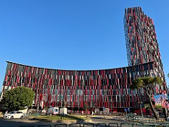 IMG_4775