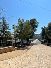 IMG_4973