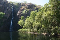 IMG_4041