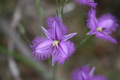 IMG_5680