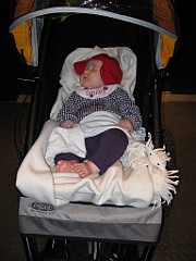 Picture 049