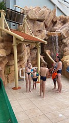 IMG_3236