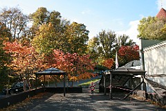 IMG_9376