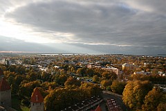 IMG_9426